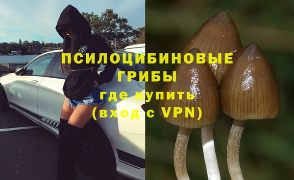 амф Аркадак